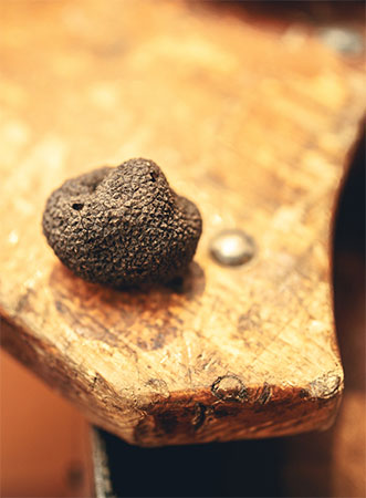 Marché aux truffes et produits du terroir à Moussoulens