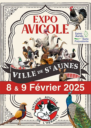 Exposition Avicole à Saint-Aunès